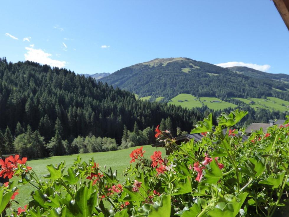 Alpbacher Appartementhaus Johannes Dış mekan fotoğraf